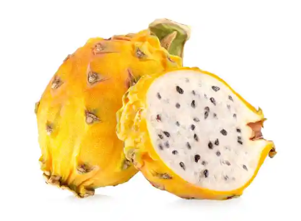 Pitaya